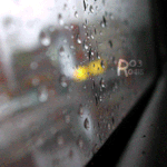 비오는 날의 <b>단상</b>