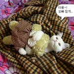 망고의 <b>외도</b>