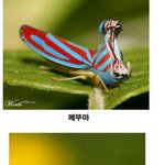 신기하고 재미있는 <b>동물사진</b>