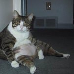 잠깐 일로 와바라~;