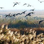 당신에게 띄우는 사랑의 연가