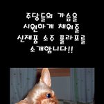 강추!!! 쇠주 아이스<b>크림</b> 완전 맛있게따~!!!