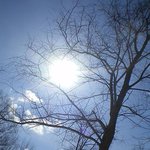 같이 듣고 싶은 음악