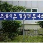 <b>어서</b>오라니