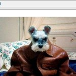 이 <b>옷</b> <b>저</b>한테 잘어울리나요 ?좀봐주세요