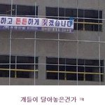 <b>개들</b>의 공약