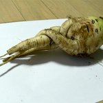 우리집 밭에서 <b>만년</b>삼 발견?