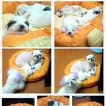 사랑스런 아가들을 소개할께요~