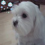 <b>도도</b>한 딸기~