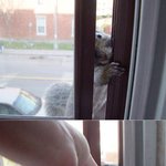 <b>저기요</b> 먹을것좀 주세요