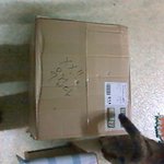 택배아저씨의 <b>xx</b>무겁다