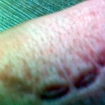 술취한 아저씨가 갑자기 뛰어와서 제 <b>손</b>을 핥았어요 ㅠㅠ + <b>사진</b>있음