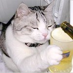 <b>연말</b>인데 한잔 따라봐~