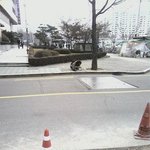 오늘 아침 출근길에