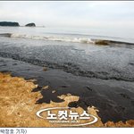 우리 <b>태안</b>좀 살려주세요...