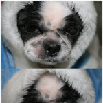 잠이와서 사진은 <b>세장</b>이서 찍기 힘들어요..