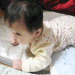 내 조카 귀염둥이 원펀치 <b>쓰리</b> 강냉이~