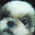 나의 <b>보물</b>1호