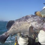 나를 미치게하는 취미, 바다낚시의 <b>참맛</b>을 아시나요?