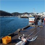 100kg <b>초대</b>형 오징어!! 달랑 3만원?