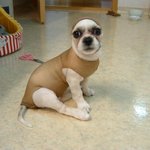 스타킹의 <b>재활용</b> ㅋㅋ