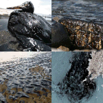 <b>태안</b> 가려고 준비하던중 알게된 놀라운 사실!