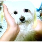 <b>인천서구</b> 신현동....