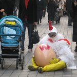 <b>명동</b> 수상한 닭 발견!!!