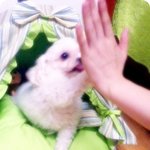 귀여운 <b>유키</b>