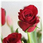 정말 노래나 <b>한곡</b>~ㅋ