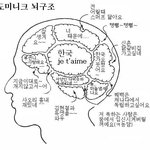 미녀들의 <b>수다</b> 출연자 뇌구조