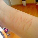 내 <b>배속</b>에 아기 어카죠?