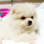 우리 질투쟁이 이슬이..