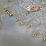 군기<b>확립</b>!!
