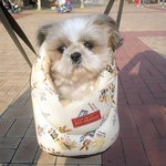 <b>미미</b> ~산책시키기