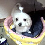 도와주세요~병원 못 믿겠어요