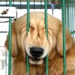 여러분 즐거운 <b>성탄절</b> 보내셨나요?