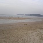 태안 기름유출 <b>자원</b>봉사