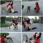 용의<b>주도</b> 한예슬 미국에서 완전 생얼로,ㅋㅋㅋ