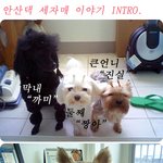 안산댁의 세자매 스토리~^^