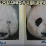 박지성복귀, 난 이래서 싫더라고...