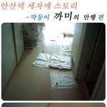 안산댁의 <b>세자매</b> 스토리~^^