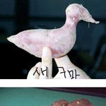 성인 남자분들만 보세요(<b>설문</b> )