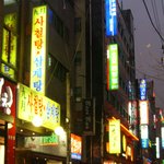 닭의 자살 <b>소동</b>?!