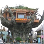 <b>저런곳</b>에식당이