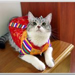 2008년 <b>새해</b> 복마니 받으세요