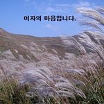 여자의 마음