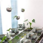 이런밥상 한번 받아보고싶어!!