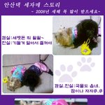 안산댁의 세<b>자매</b> 스토리~^^