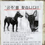 혼자서 <b>버스타</b>는 개?ㄷ